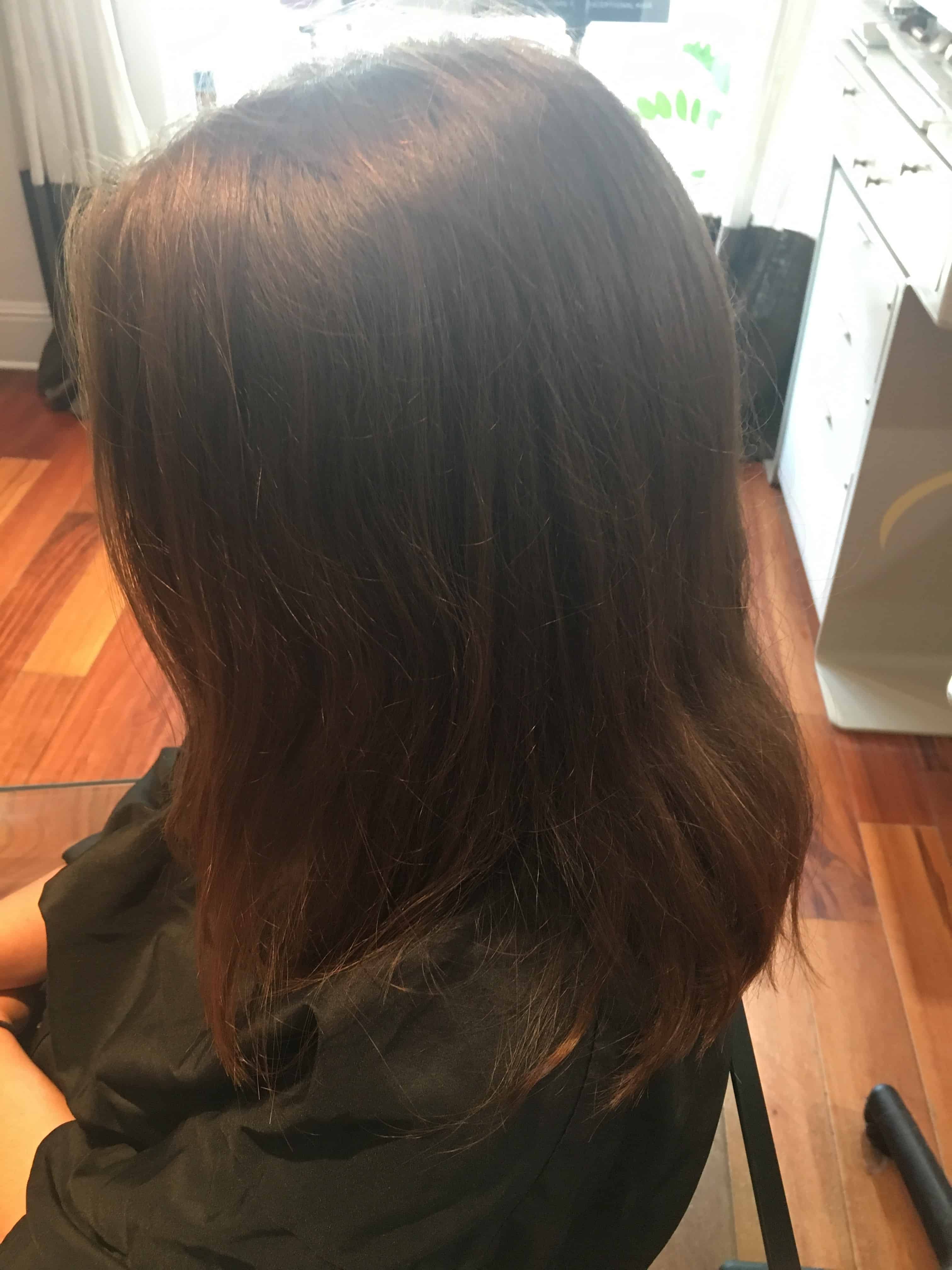 Tampa Hair color and highlights before - Grand Beauty Hair