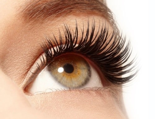 Love Your Lashes! Eyelash Extensions For the Month of Love!