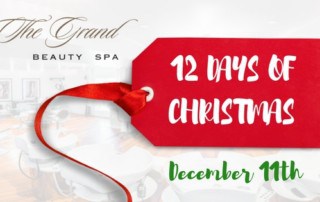 12 Days of Christmas (12-11)